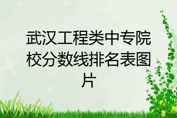 武汉工程类中专院校分数线排名表图片