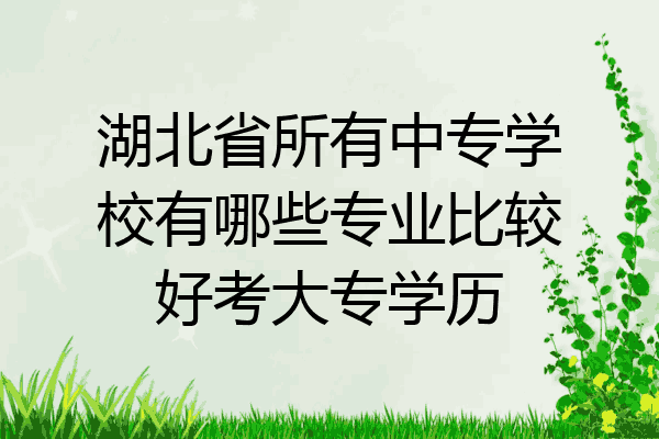 湖北省所有中专学校有哪些专业比较好考大专学历