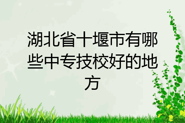 湖北省十堰市有哪些中专技校好的地方