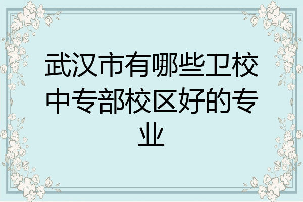 武汉市有哪些卫校中专部校区好的专业