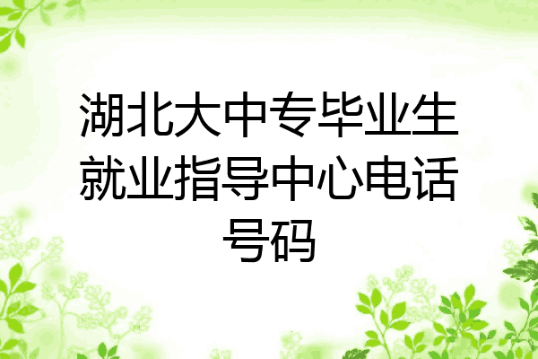 湖北大中专毕业生就业指导中心电话号码