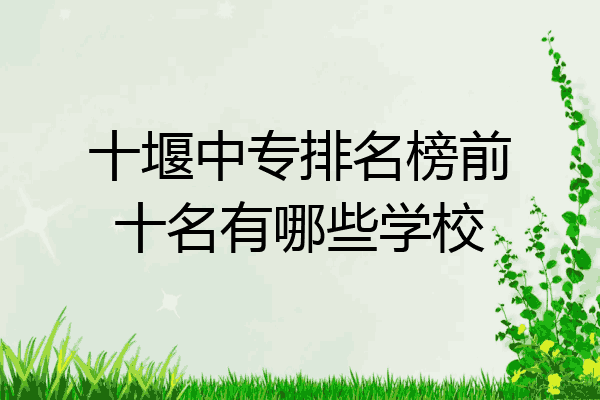 十堰中专排名榜前十名有哪些学校