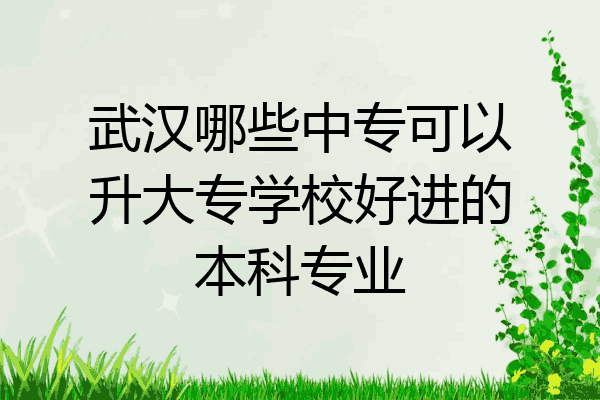 武汉哪些中专可以升大专学校好进的本科专业