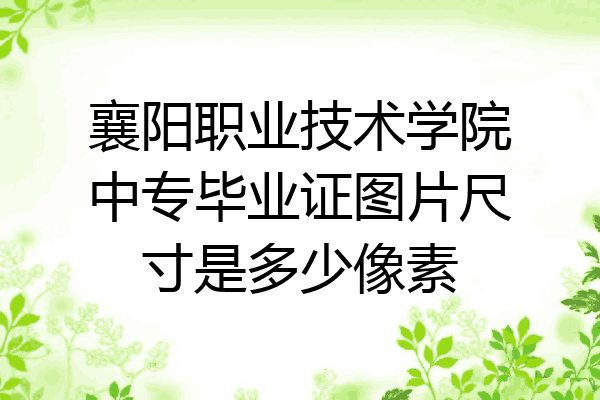 襄阳职业技术学院中专毕业证图片尺寸是多少像素
