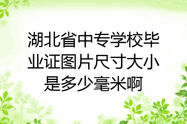 湖北省中专学校毕业证图片尺寸大小是多少毫米啊