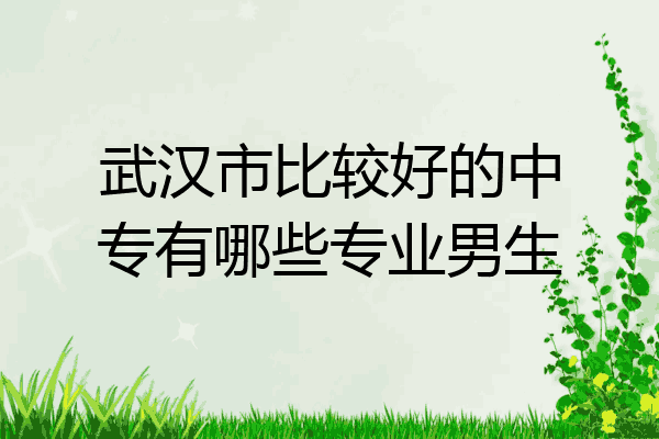 武汉市比较好的中专有哪些专业男生