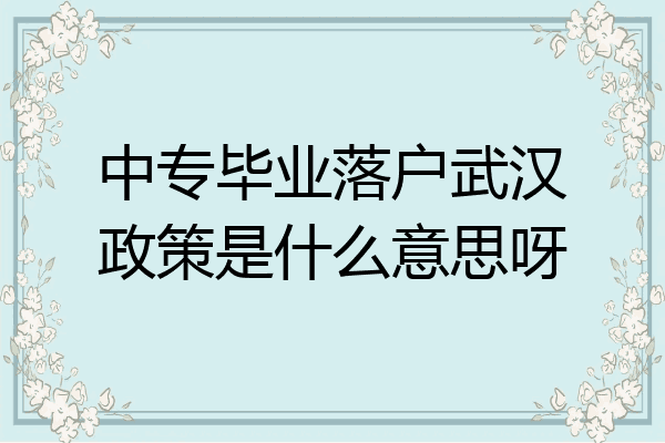 中专毕业落户武汉政策是什么意思呀