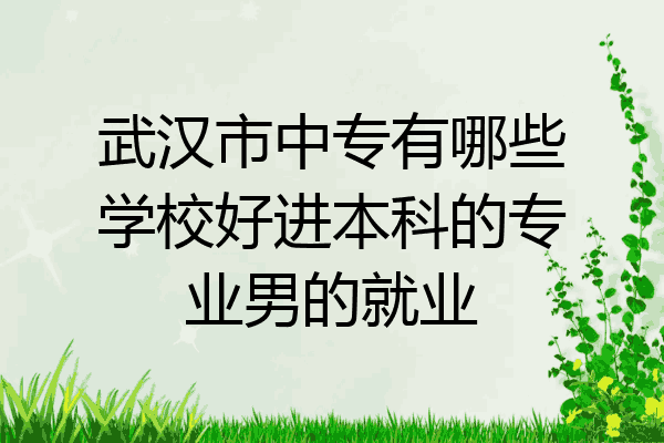 武汉市中专有哪些学校好进本科的专业男的就业