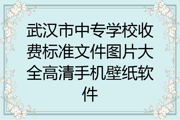 武汉市中专学校收费标准文件图片大全高清手机壁纸软件
