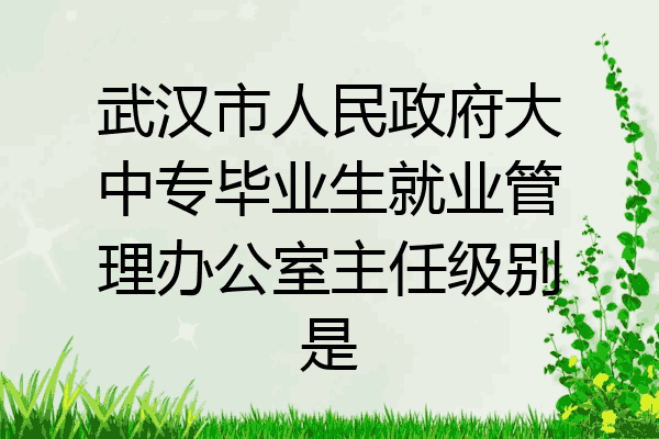 武汉市人民政府大中专毕业生就业管理办公室主任级别是
