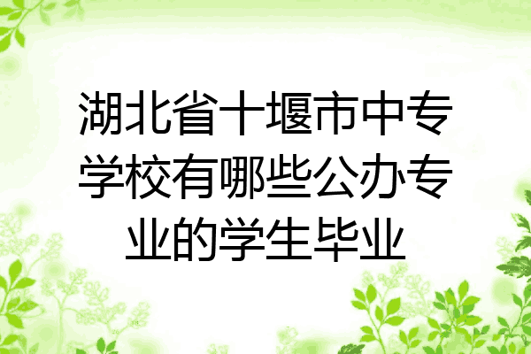 湖北省十堰市中专学校有哪些公办专业的学生毕业