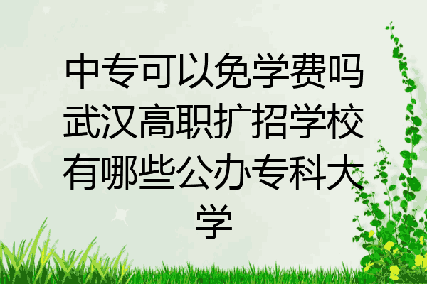 中专可以免学费吗武汉高职扩招学校有哪些公办专科大学