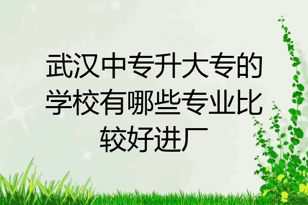 武汉中专升大专的学校有哪些专业比较好进厂