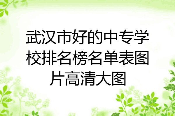 武汉市好的中专学校排名榜名单表图片高清大图
