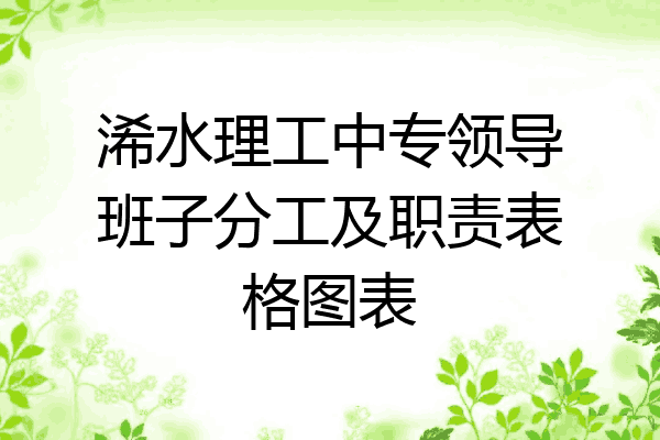 浠水理工中专领导班子分工及职责表格图表