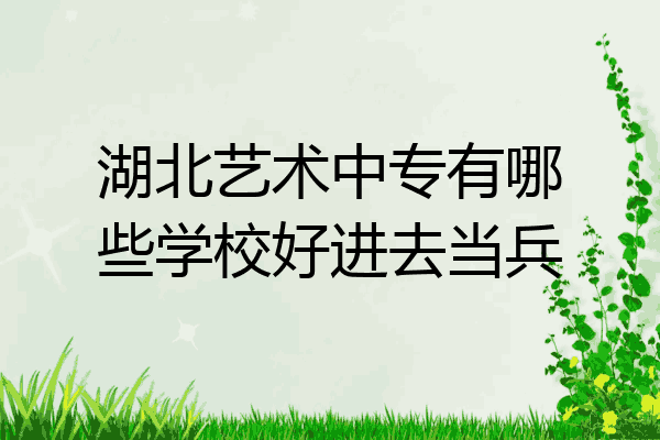 湖北艺术中专有哪些学校好进去当兵