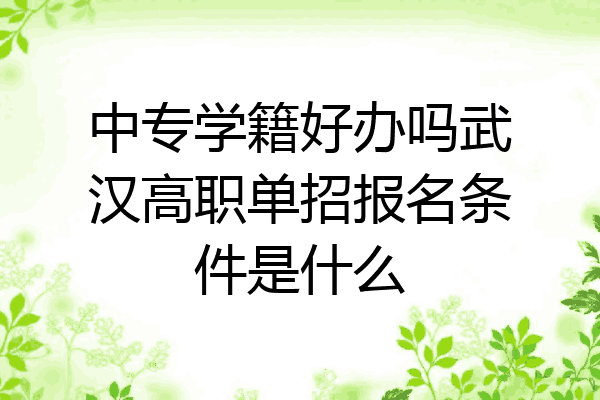 中专学籍好办吗武汉高职单招报名条件是什么