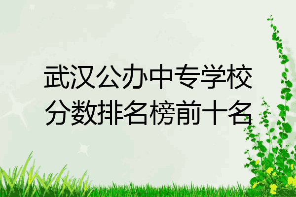 武汉公办中专学校分数排名榜前十名