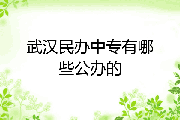 武汉民办中专有哪些公办的