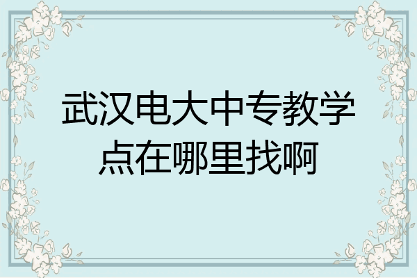 武汉电大中专教学点在哪里找啊