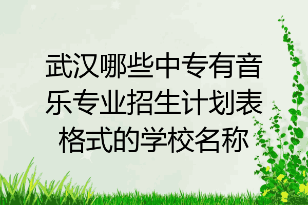 武汉哪些中专有音乐专业招生计划表格式的学校名称