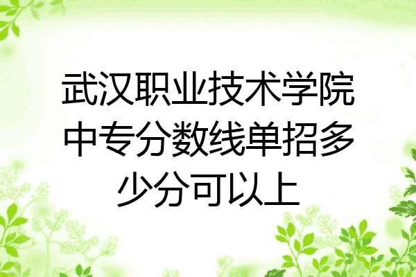 武汉职业技术学院中专分数线单招多少分可以上