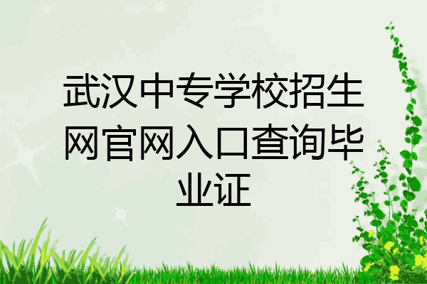 武汉中专学校招生网官网入口查询毕业证