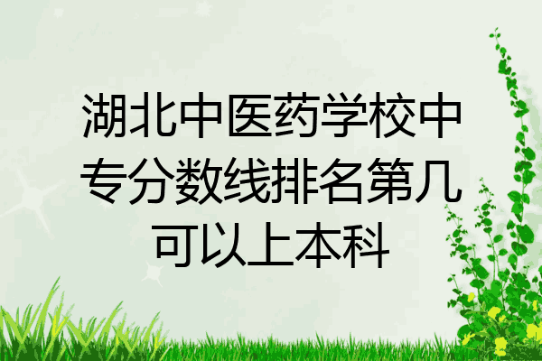 湖北中医药学校中专分数线排名第几可以上本科