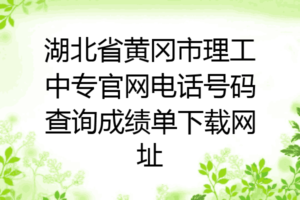 湖北省黄冈市理工中专官网电话号码查询成绩单下载网址