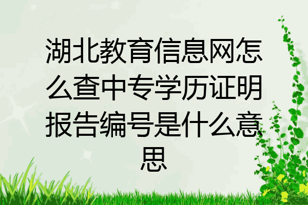 湖北教育信息网怎么查中专学历证明报告编号是什么意思