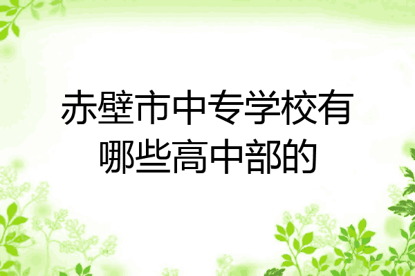 赤壁市中专学校有哪些高中部的