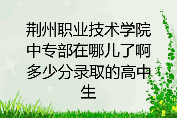 荆州职业技术学院中专部在哪儿了啊多少分录取的高中生