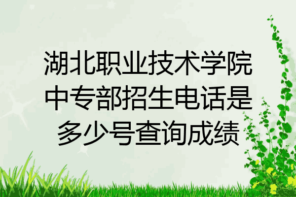 湖北职业技术学院中专部招生电话是多少号查询成绩