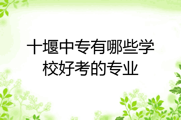 十堰中专有哪些学校好考的专业