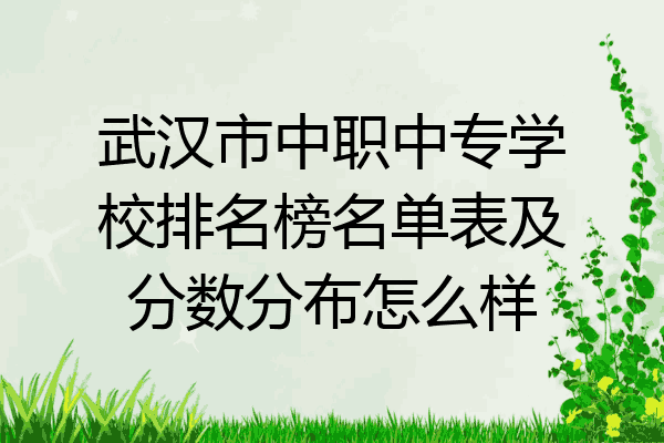 武汉市中职中专学校排名榜名单表及分数分布怎么样