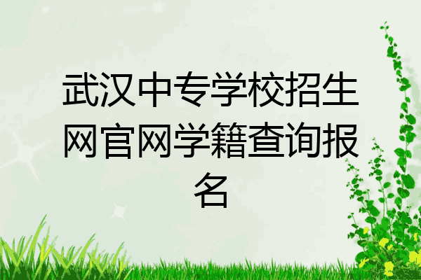 武汉中专学校招生网官网学籍查询报名