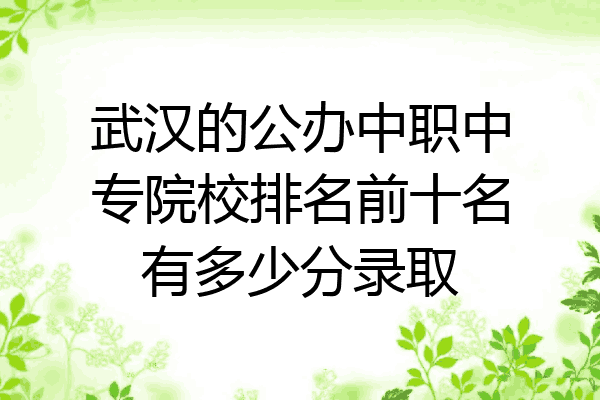武汉的公办中职中专院校排名前十名有多少分录取