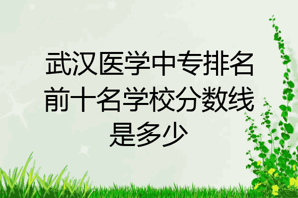 武汉医学中专排名前十名学校分数线是多少