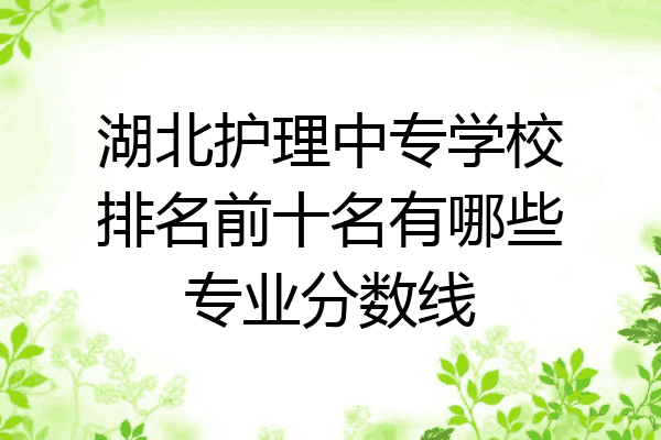 湖北护理中专学校排名前十名有哪些专业分数线