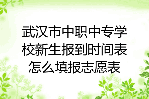 武汉市中职中专学校新生报到时间表怎么填报志愿表