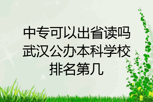 中专可以出省读吗武汉公办本科学校排名第几