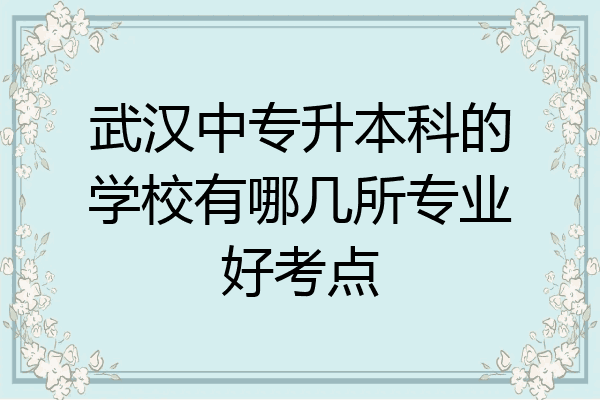 武汉中专升本科的学校有哪几所专业好考点