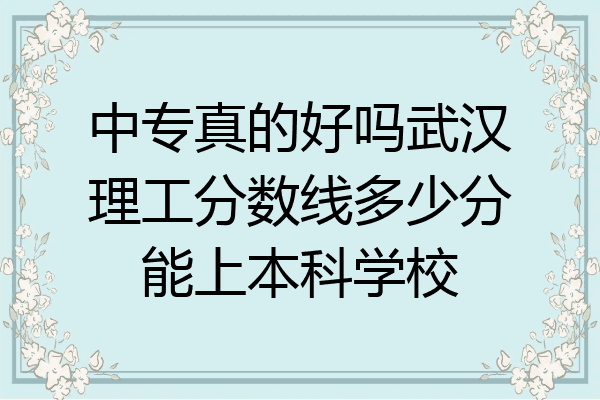 中专真的好吗武汉理工分数线多少分能上本科学校