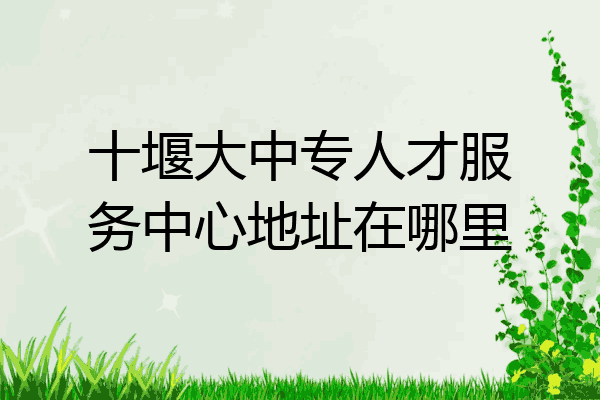 十堰大中专人才服务中心地址在哪里