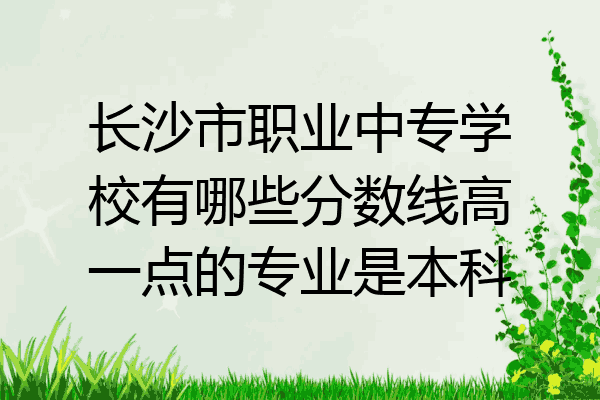 长沙市职业中专学校有哪些分数线高一点的专业是本科
