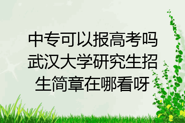 中专可以报高考吗武汉大学研究生招生简章在哪看呀