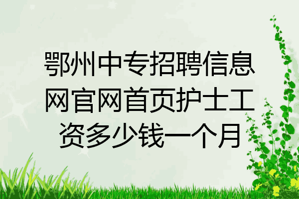 鄂州中专招聘信息网官网首页护士工资多少钱一个月