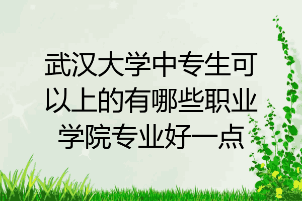 武汉大学中专生可以上的有哪些职业学院专业好一点
