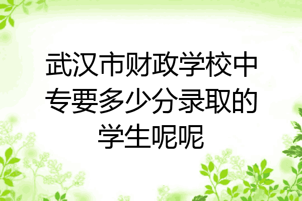 武汉市财政学校中专要多少分录取的学生呢呢