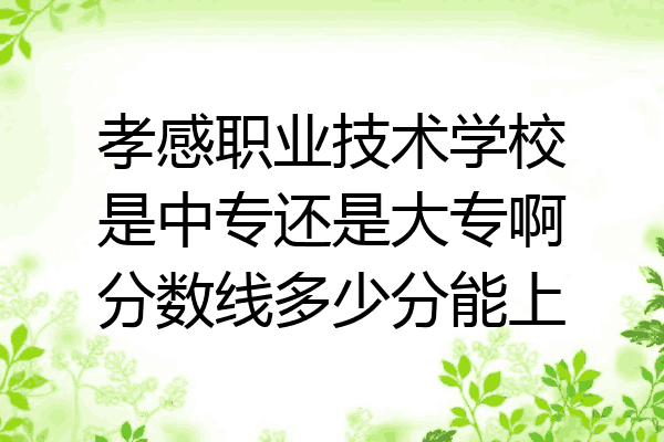 孝感职业技术学校是中专还是大专啊分数线多少分能上
